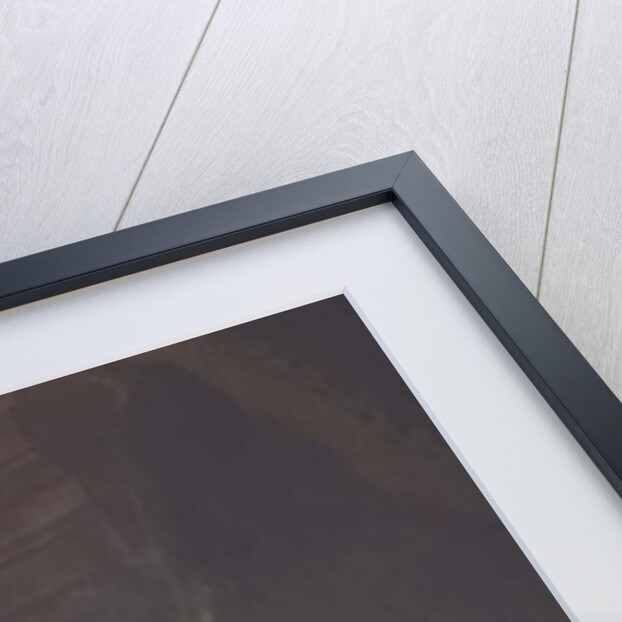 Two children of Empress Maria Theresa of Austria Leopold and his sister Princess Maria Christine by Martin van Mytens or Meytens