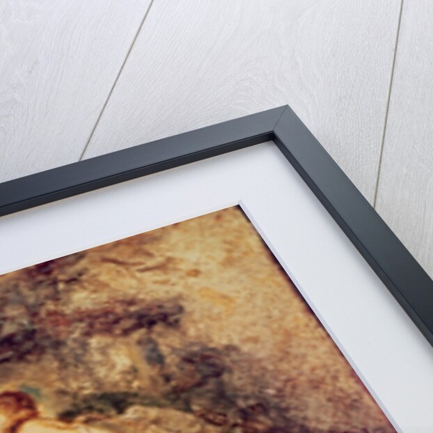 The Judgement of Paris, c.1599-1601 by Peter Paul Rubens