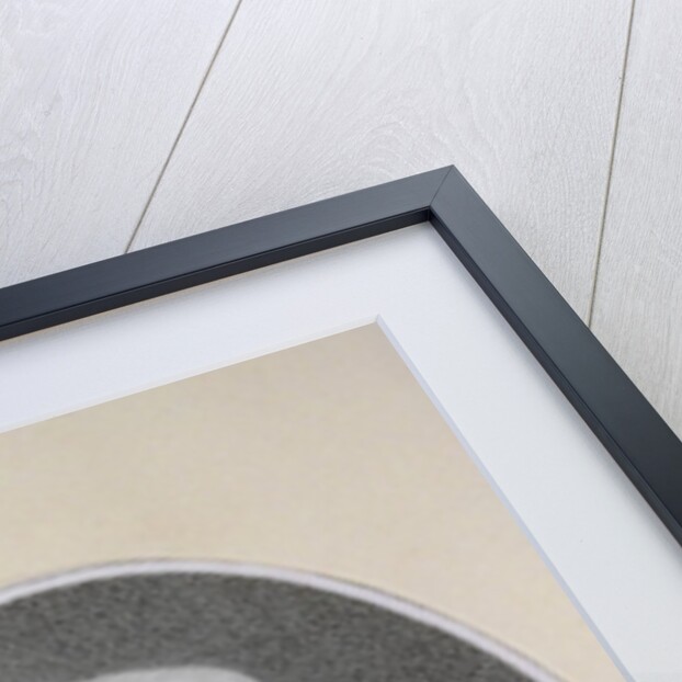 Franz Joseph Haydn by Anonymous