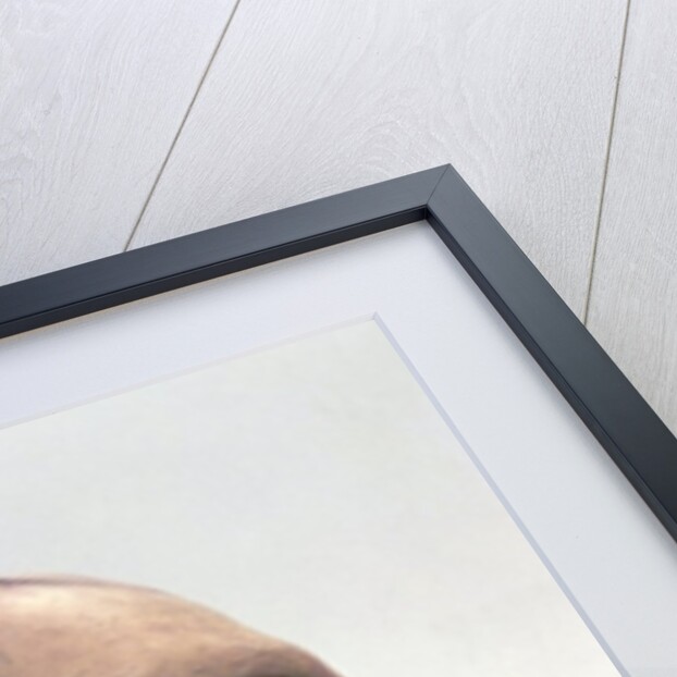 Death mask of Ludwig van Beethoven, 1827 by Anonymous