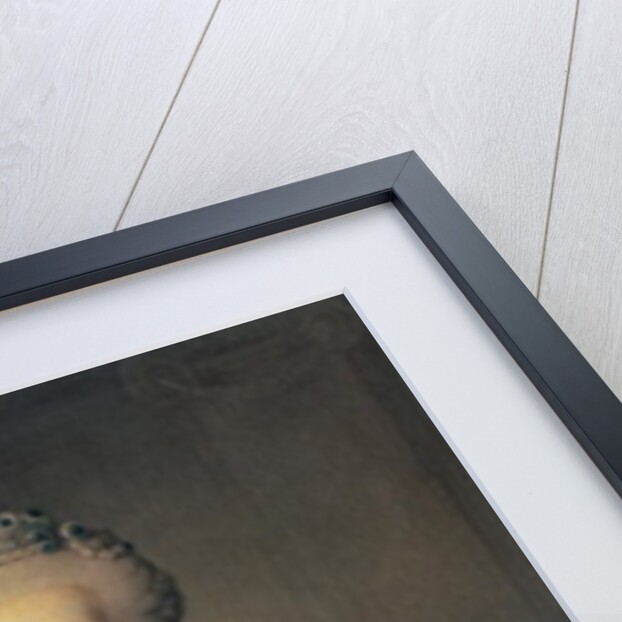 Archduchess Maria Carolina by Martin van Mytens or Meytens