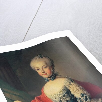 Archduchess Maria Carolina by Martin van Mytens or Meytens