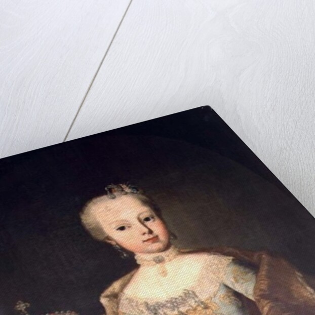 Archduchess Maria Josepha Habsburg-Lothringen, twelveth child of Empress Maria Theresa of Austria and Emperor Francis I by Martin van Mytens or Meytens