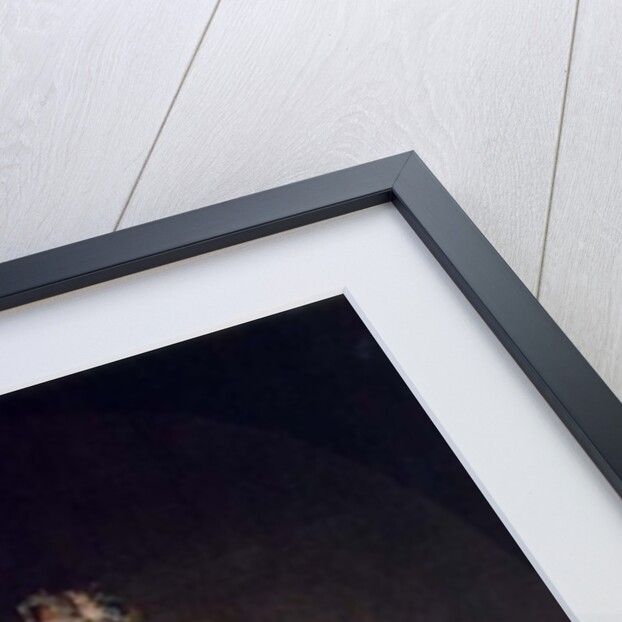 Archduchess Maria Josepha Habsburg-Lothringen, twelveth child of Empress Maria Theresa of Austria and Emperor Francis I by Martin van Mytens or Meytens