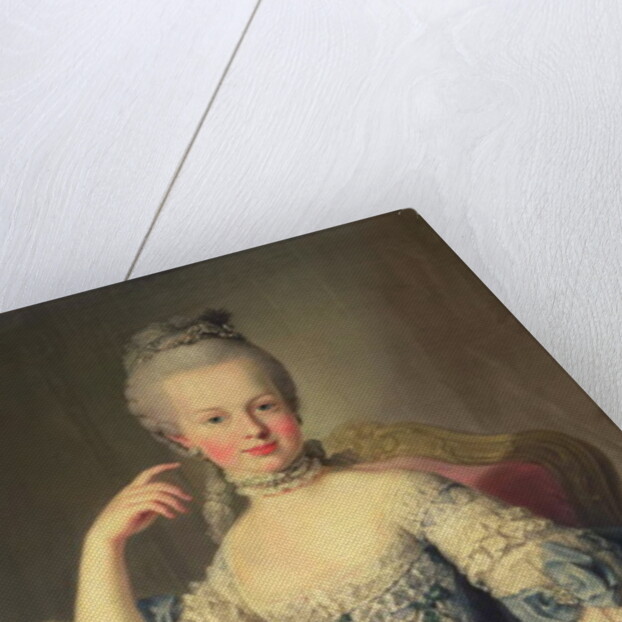 Portrait of Marie-Antoinette, 1767-68 by Martin van Mytens or Meytens