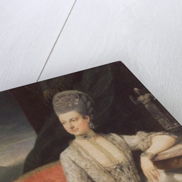 Archduchess Maria Christine Habsburg-Lothringen, daughter of Empress Maria Theresa of Austria and Emperor Francis I of Austria, 1776 by Johann Zoffany