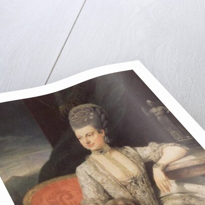 Archduchess Maria Christine Habsburg-Lothringen, daughter of Empress Maria Theresa of Austria and Emperor Francis I of Austria, 1776 by Johann Zoffany