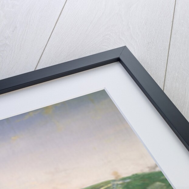 The Siege of Namur, 1659 by Jan van Hugthenburgh