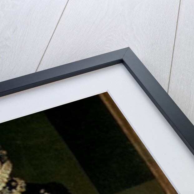 Isabella of Valois, Queen of Spain, wife of King Philip II of Spain, 1565 by Sofonisba Anguissola