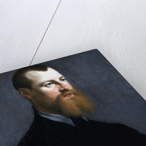 Portrait of a man with a ginger beard, 16th century by Jan Stephen Calcar