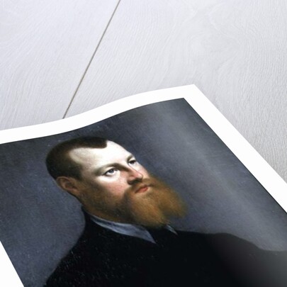 Portrait of a man with a ginger beard, 16th century by Jan Stephen Calcar