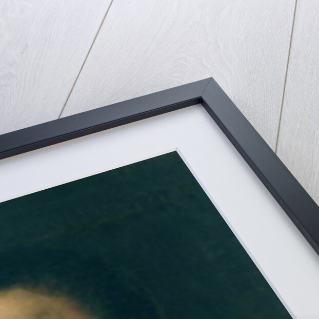 Johannes Kepler, c.1612 by Johann or Hans von Aachen