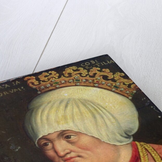 Eleanor Stewart, daughter of James II of Scotland, 1578-80 by Austrian School