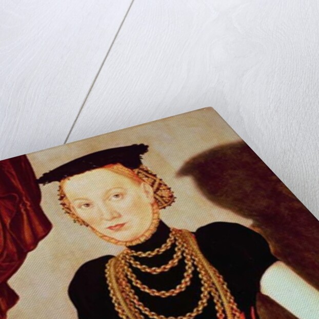 Portrait of a woman, 1564 by Lucas the Younger Cranach