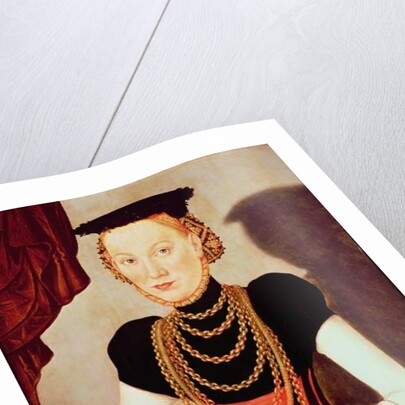 Portrait of a woman, 1564 by Lucas the Younger Cranach