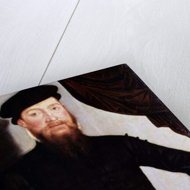 Portrait of a man, 1564 by Lucas the Younger Cranach