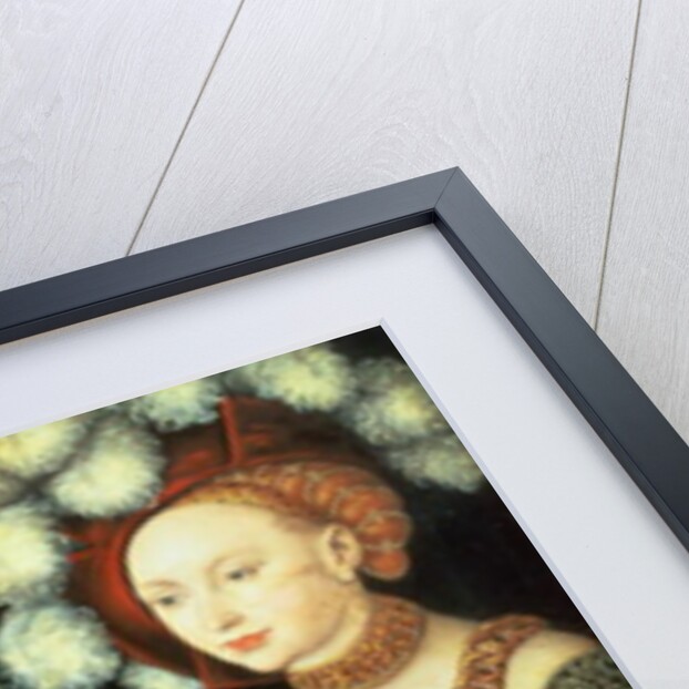 Three princesses of Saxony, Sibylla, Emilia and Sidonia, daughters of Duke Heinrich of Frommen, c.1535 by Lucas the Elder Cranach