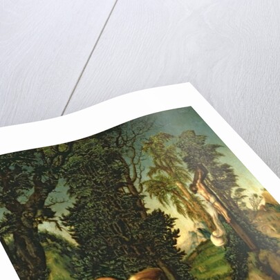 The Penitence of St. Jerome, 1502 by Lucas the Elder Cranach