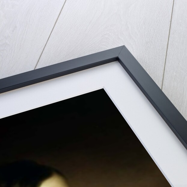 Empress Elizabeth of Bavaria as a young woman by Franz Schrotzberg