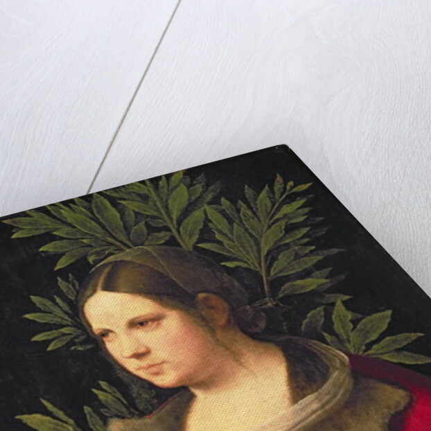 Portrait of a Young Woman, 1506 by Giorgione