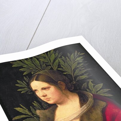 Portrait of a Young Woman, 1506 by Giorgione