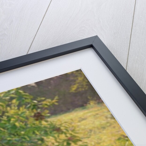 The Convalescent, 1896 by Max Kurzweil