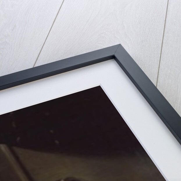 Artemisia grieving over Mausolus by Domenico Fetti or Feti