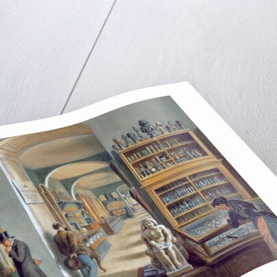 The second room of Egyptian antiquities in the Ambraser Gallery of the Lower Belvedere, 1879 by Carl Goebel