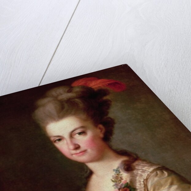 Archduchess Marie-Christine Habsburg-Lothringen by Anonymous