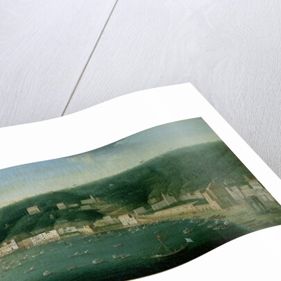 View of Naples from the east, 1730 by Gaspar Butler