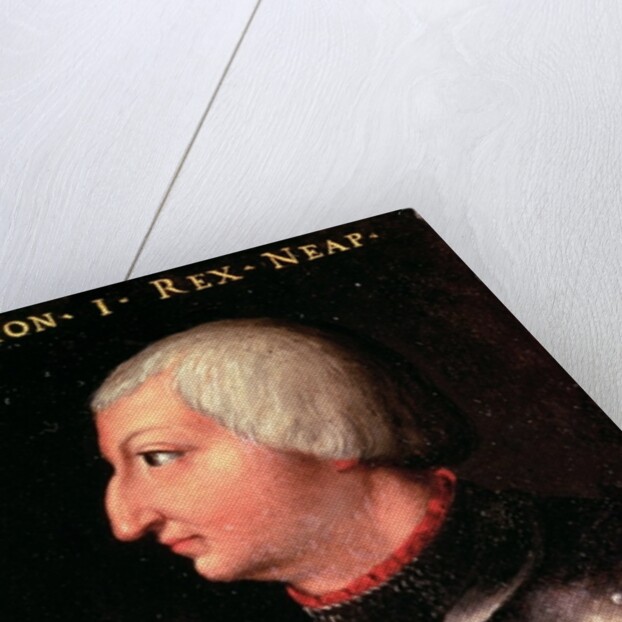 Alfonso V the 'Magnanimous', King of Aragon, c.1450 by Neapolitan School