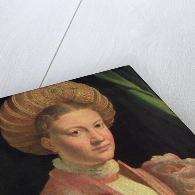 Portrait of a young woman, possibly Countess Gozzadini, c.1530 by Parmigianino (1503-40)