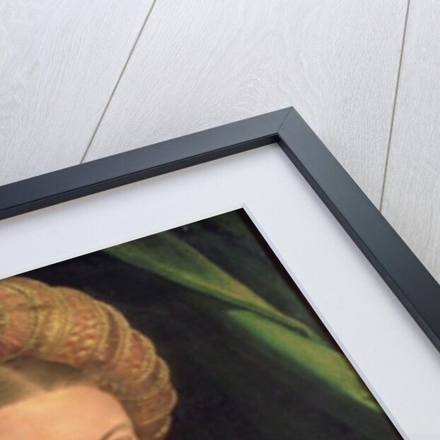 Portrait of a young woman, possibly Countess Gozzadini, c.1530 by Parmigianino (1503-40)