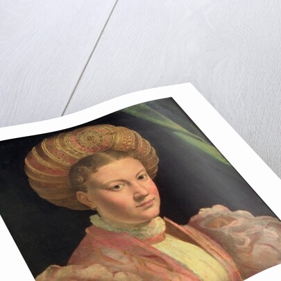 Portrait of a young woman, possibly Countess Gozzadini, c.1530 by Parmigianino (1503-40)