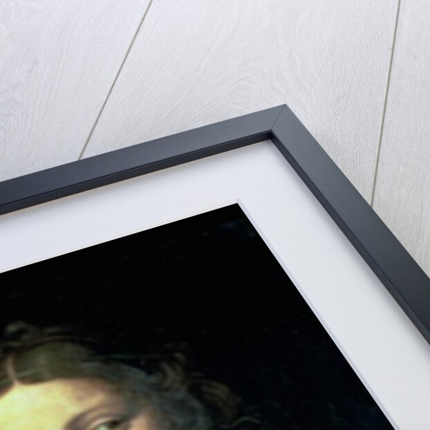 Salome with the Head of John the Baptist, c.1525-30 by Bernardino Luini