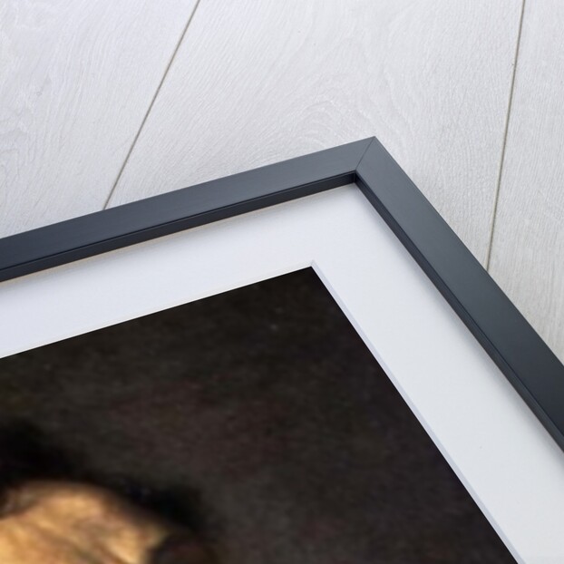 Self portrait, c.1580-85 by Bartholomaeus Spranger