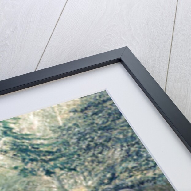 Children Playing, 1933 by Franz von Matsch