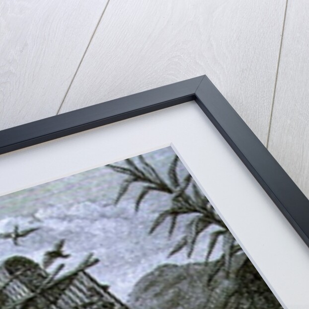 Papageno: 'I am the birdcatcher, yes! Always cheerful, fiddle-di-i, fiddle-di-da!' by Johann Heinrich (after) Ramberg