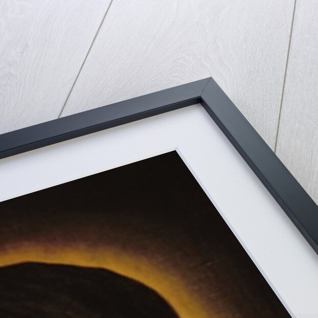 Madonna by Il Sassoferrato