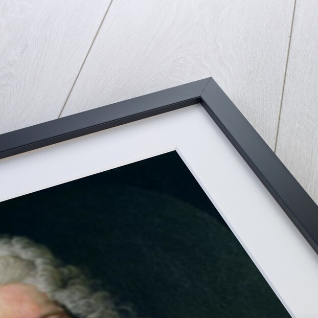 Count Alois Thomas Raimund von Harrach, Viceroy of Naples by Johann-Gottfried Auerbach