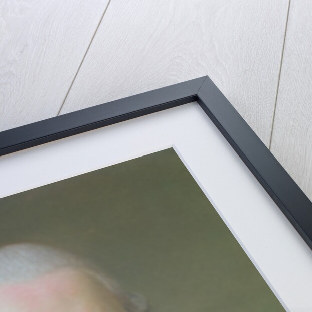 Count Ernst Guido von Harrach by French School