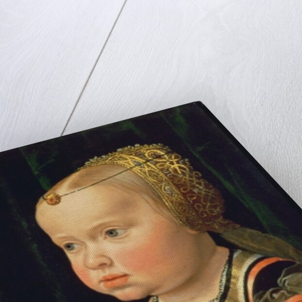 Archduchess Eleanor of Mantua, aged two by Jakob Seisenegger