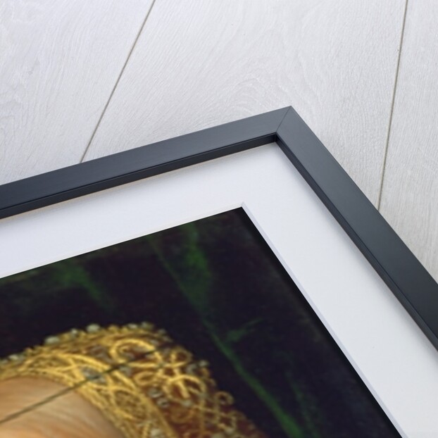 Archduchess Eleanor of Mantua, aged two by Jakob Seisenegger