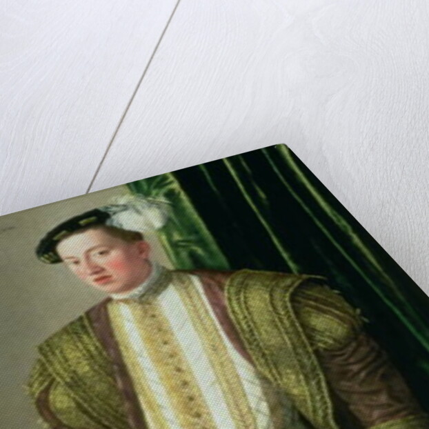 Archduke Ferdinand of Tirol, son of the Holy Roman Emperor Ferdinand I, 1548 by Jakob Seisenegger