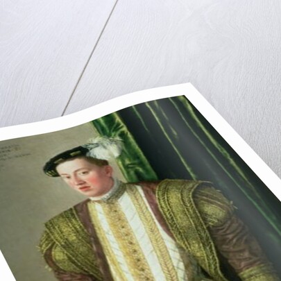 Archduke Ferdinand of Tirol, son of the Holy Roman Emperor Ferdinand I, 1548 by Jakob Seisenegger