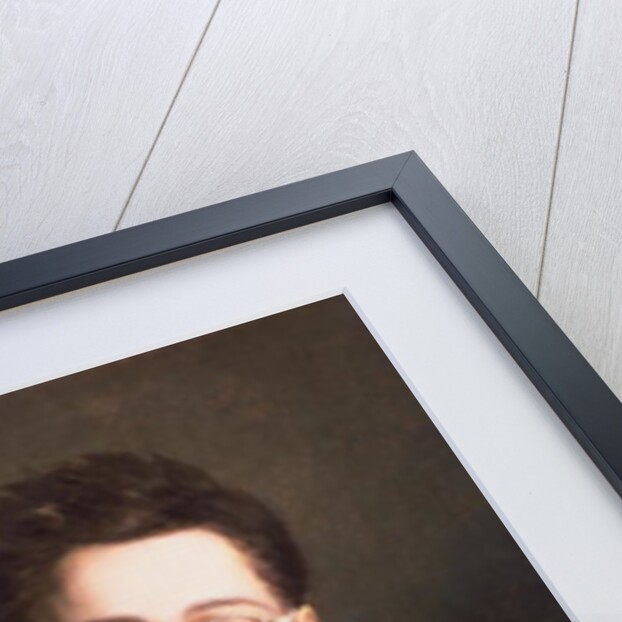 Portrait of Franz Schubert, c.1814 by Austrian School