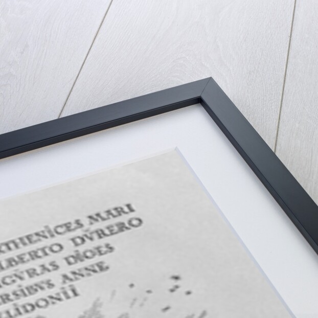 Madonna as nursing mother and divine being by Albrecht Dürer or Duerer