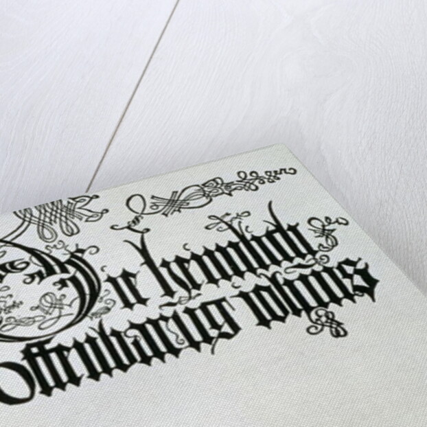 Inscriptions in Gothic script by Albrecht Dürer or Duerer