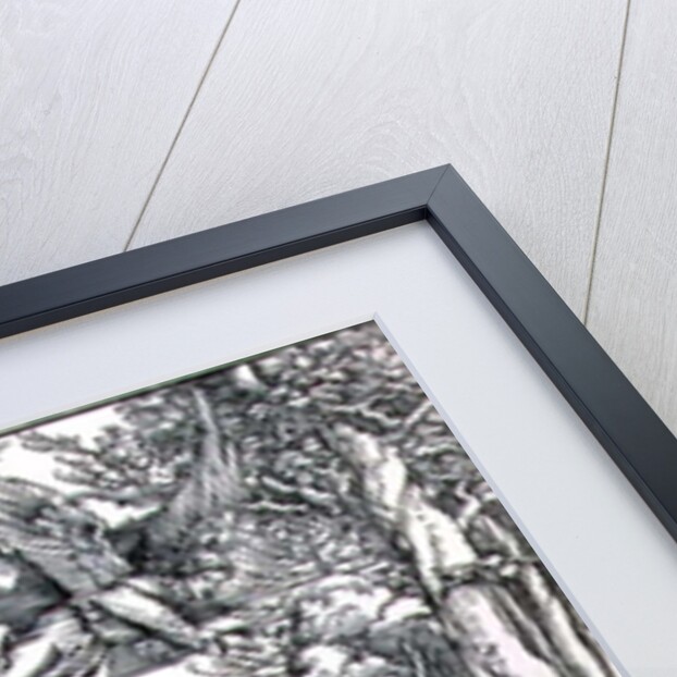 St. John Devouring the Book by Albrecht Dürer or Duerer