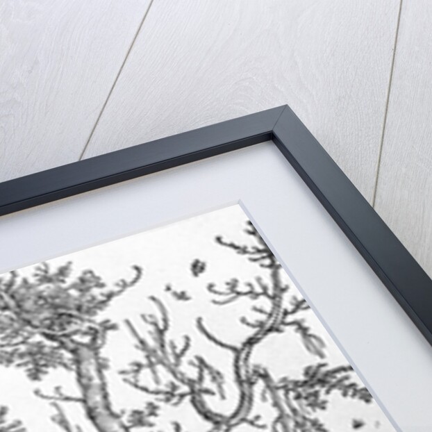 Joachim and the Angel from the 'Life of the Virgin' series, pub. 1511 by Albrecht Dürer or Duerer